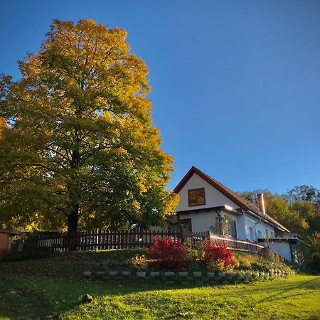 Ferienhaus Koller Güssing Zewnętrze zdjęcie