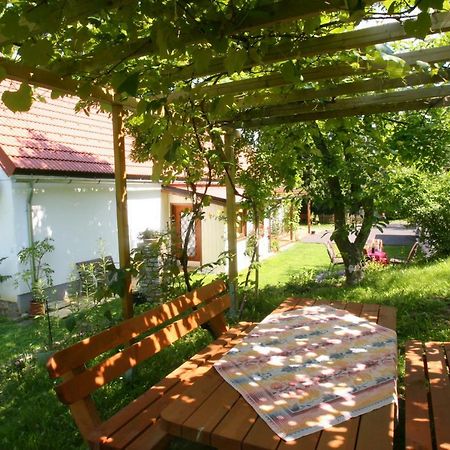 Ferienhaus Koller Güssing Zewnętrze zdjęcie