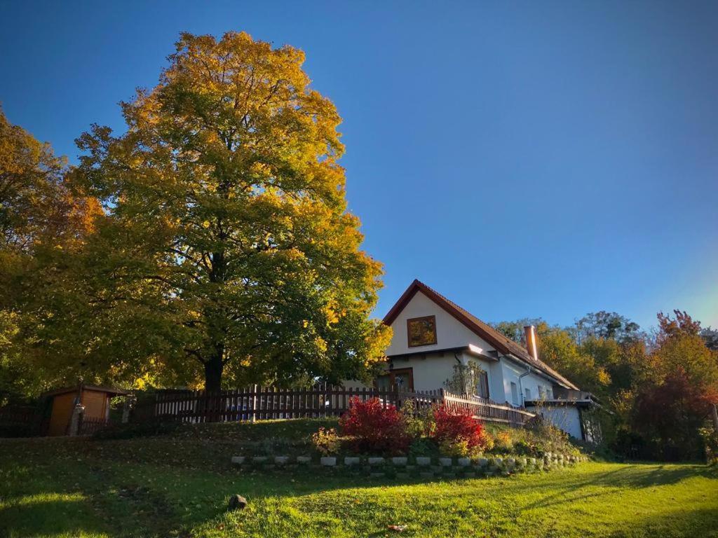 Ferienhaus Koller Güssing Zewnętrze zdjęcie